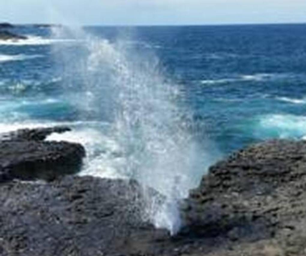 Shutters By The Sea Kiama-Sea Views-Waterfront-Private On Coastal Walk 키아마 외부 사진