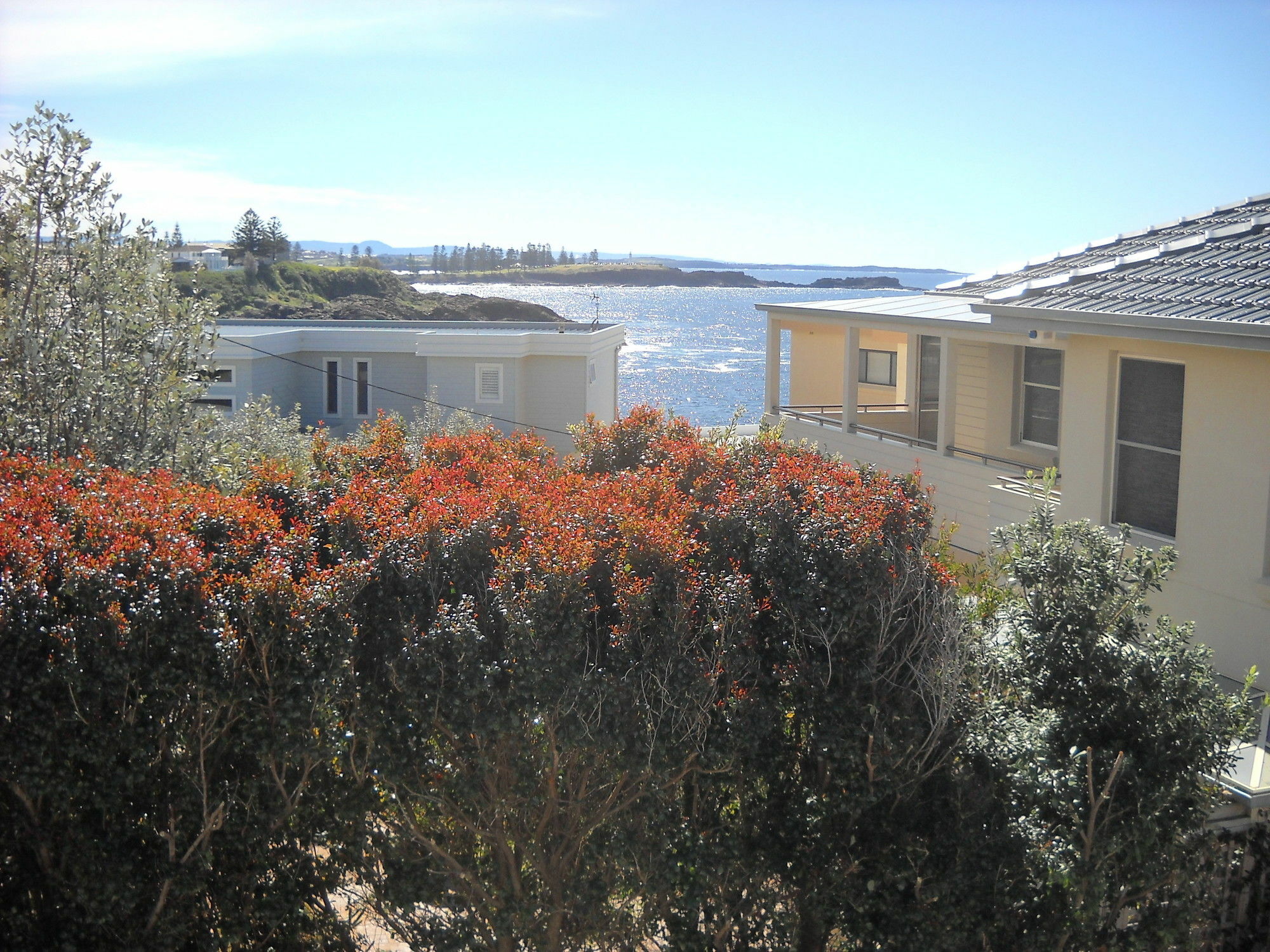 Shutters By The Sea Kiama-Sea Views-Waterfront-Private On Coastal Walk 키아마 외부 사진